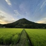 天空だより 7月-2【創業二十周年記念撮影】