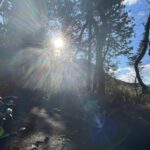 天空だより 12月-3【今年もありがとうございました】